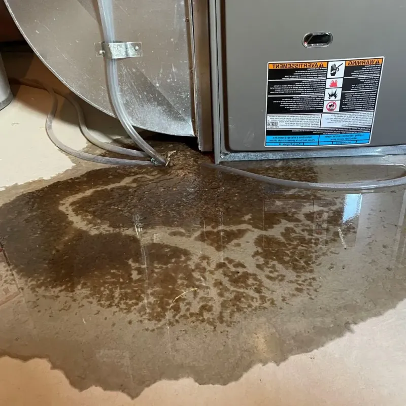 Pipe Burst and Leak Restoration in Saint Bonaventure, NY
