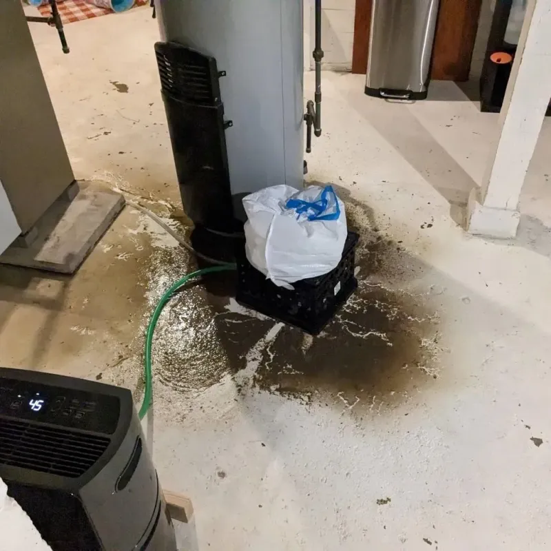 Sewage Backup Cleanup Service in Saint Bonaventure, NY